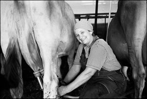 Farmer at work<br>St. Gilgen (Austria), 2012